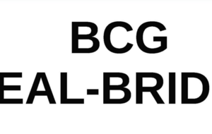 RealBridge /2 - BCG