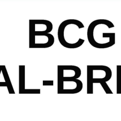 RealBridge /2 - BCG